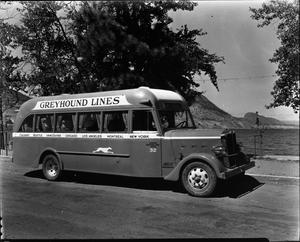 thumbnail of image