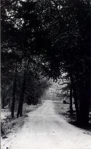 thumbnail of image