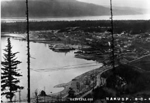 thumbnail of image