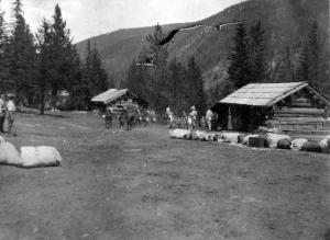 thumbnail of image
