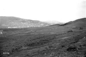 thumbnail of image