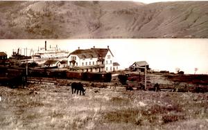 thumbnail of image