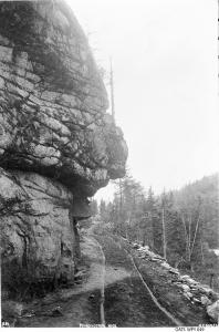 thumbnail of image