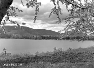 thumbnail of image