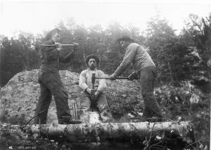 thumbnail of image
