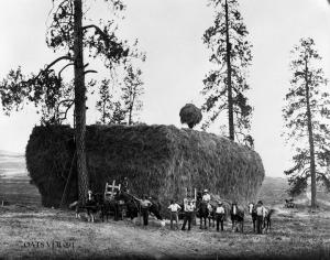 thumbnail of image