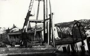thumbnail of image