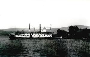thumbnail of image