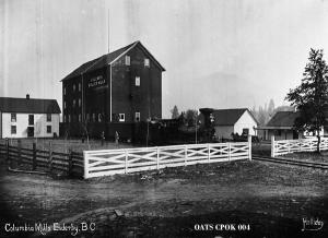 thumbnail of image