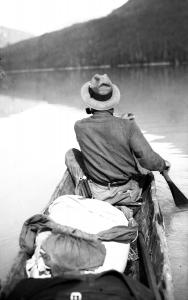 thumbnail of image