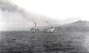thumbnail of image