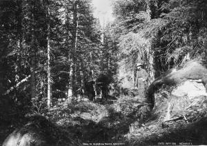 thumbnail of image