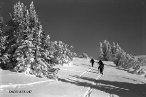 thumbnail of image