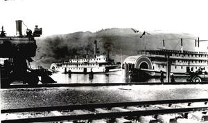 thumbnail of image