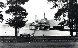 thumbnail of image