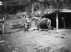 thumbnail of image