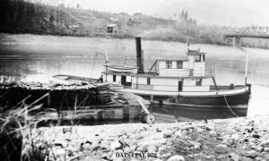 thumbnail of image