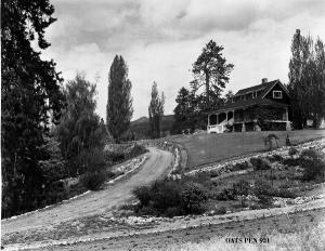 thumbnail of image