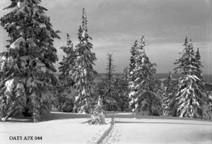 thumbnail of image