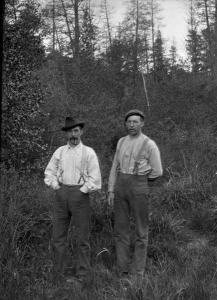 thumbnail of image