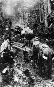 thumbnail of image