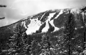 thumbnail of image