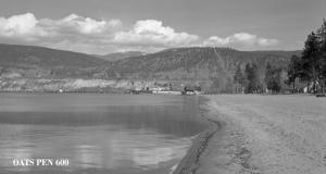 thumbnail of image