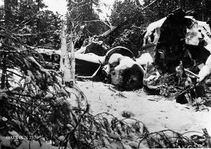 thumbnail of image