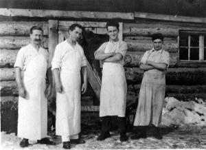 thumbnail of image
