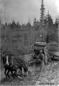 thumbnail of image