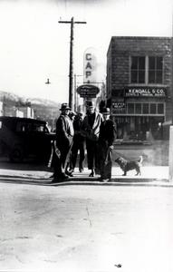 thumbnail of image