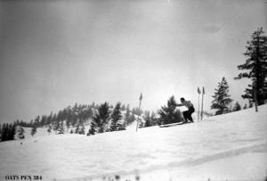 thumbnail of image