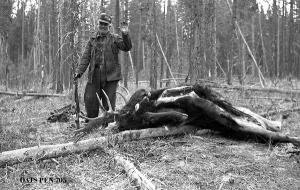 thumbnail of image