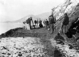 thumbnail of image