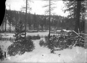 thumbnail of image