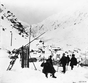 thumbnail of image