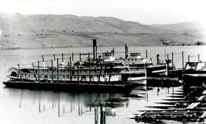 thumbnail of image