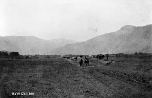 thumbnail of image