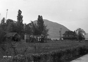 thumbnail of image