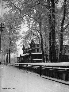 thumbnail of image