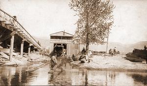 thumbnail of image