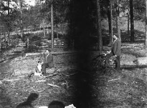thumbnail of image