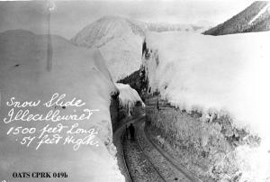 thumbnail of image
