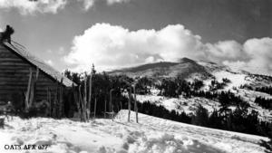 thumbnail of image