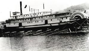 thumbnail of image
