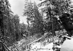 thumbnail of image