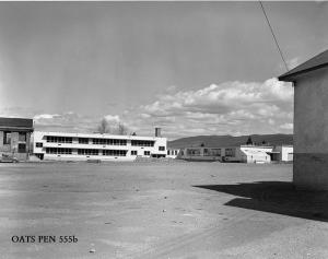 thumbnail of image