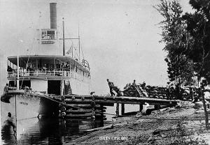 thumbnail of image