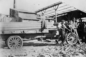 thumbnail of image