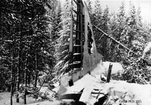 thumbnail of image